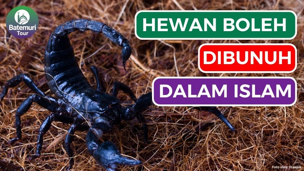 7 Hewan yang Boleh Dibunuh dalam Islam